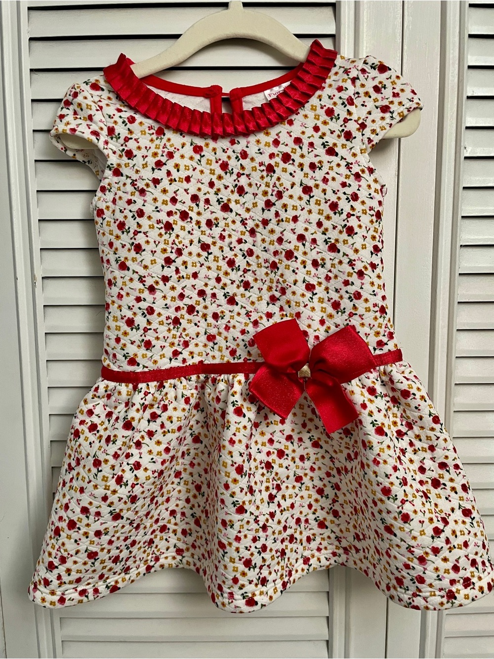 Fiorella 2T floral dress